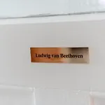 First Wohnen Appartement