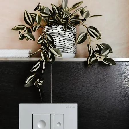 First Wohnen Διαμέρισμα